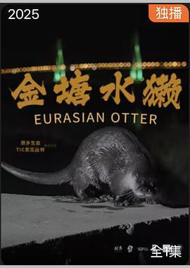 半人马[电影解说]