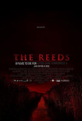 芦苇地[电影解说]