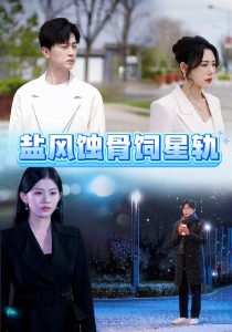 盐风蚀骨饲星轨