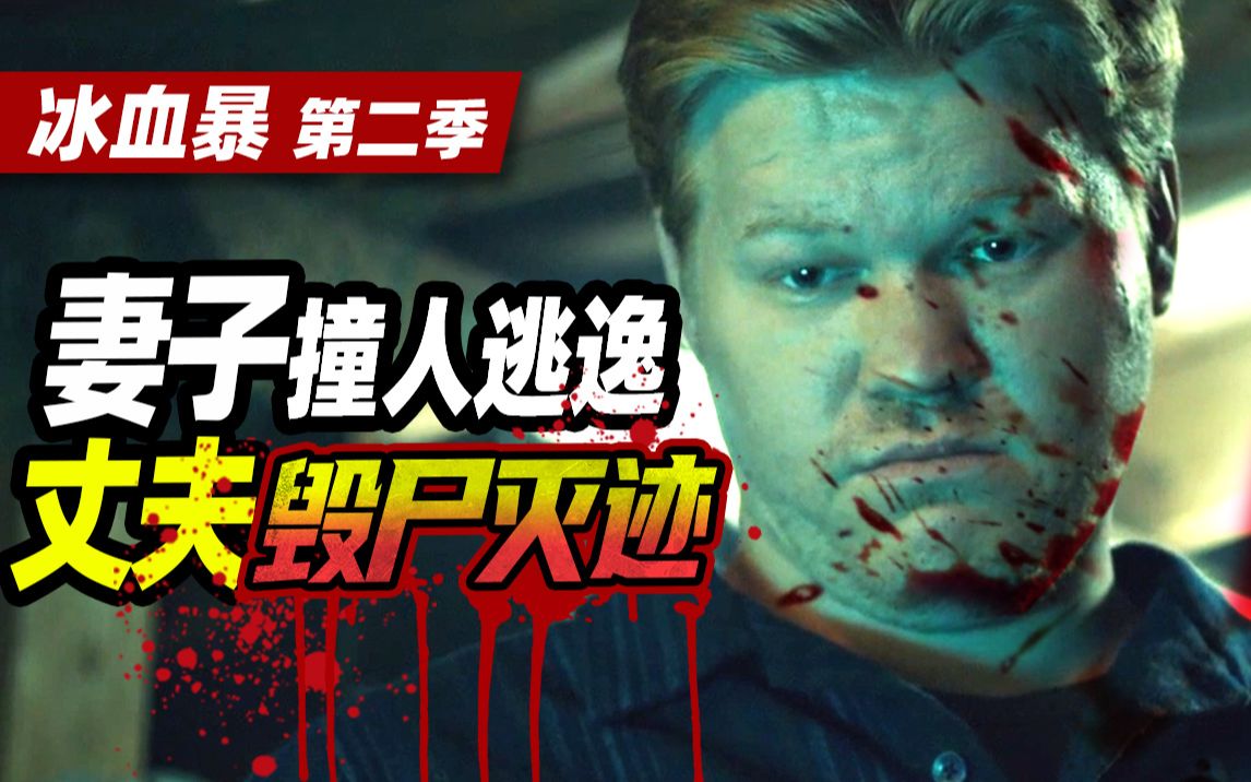 【扁豆】妻子撞人逃逸，丈夫毁尸灭迹！9.2高分美剧《冰血暴》第二季P2