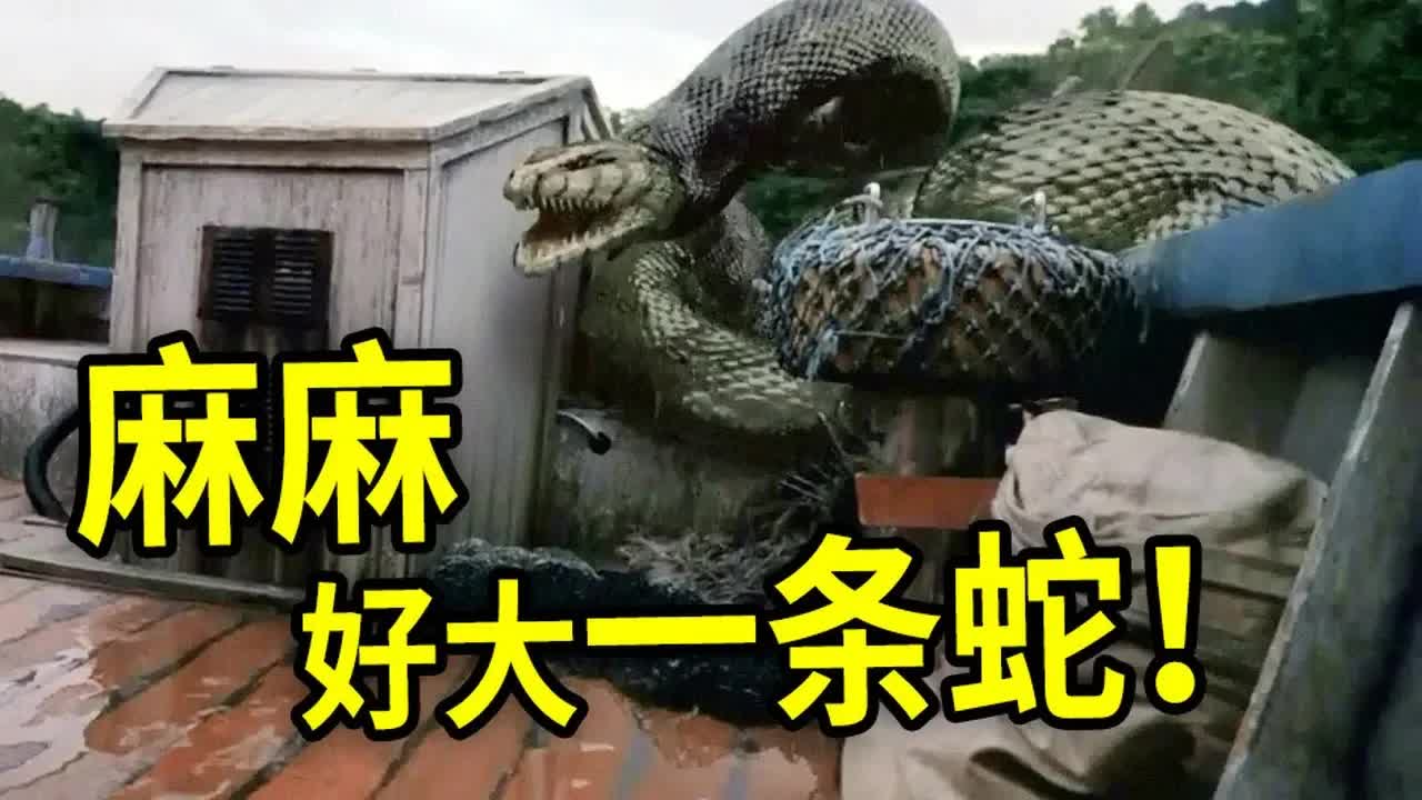 科學家進入原始叢林尋找血蘭花，慘遭超級巨蟒襲擊！《狂蟒之災2》