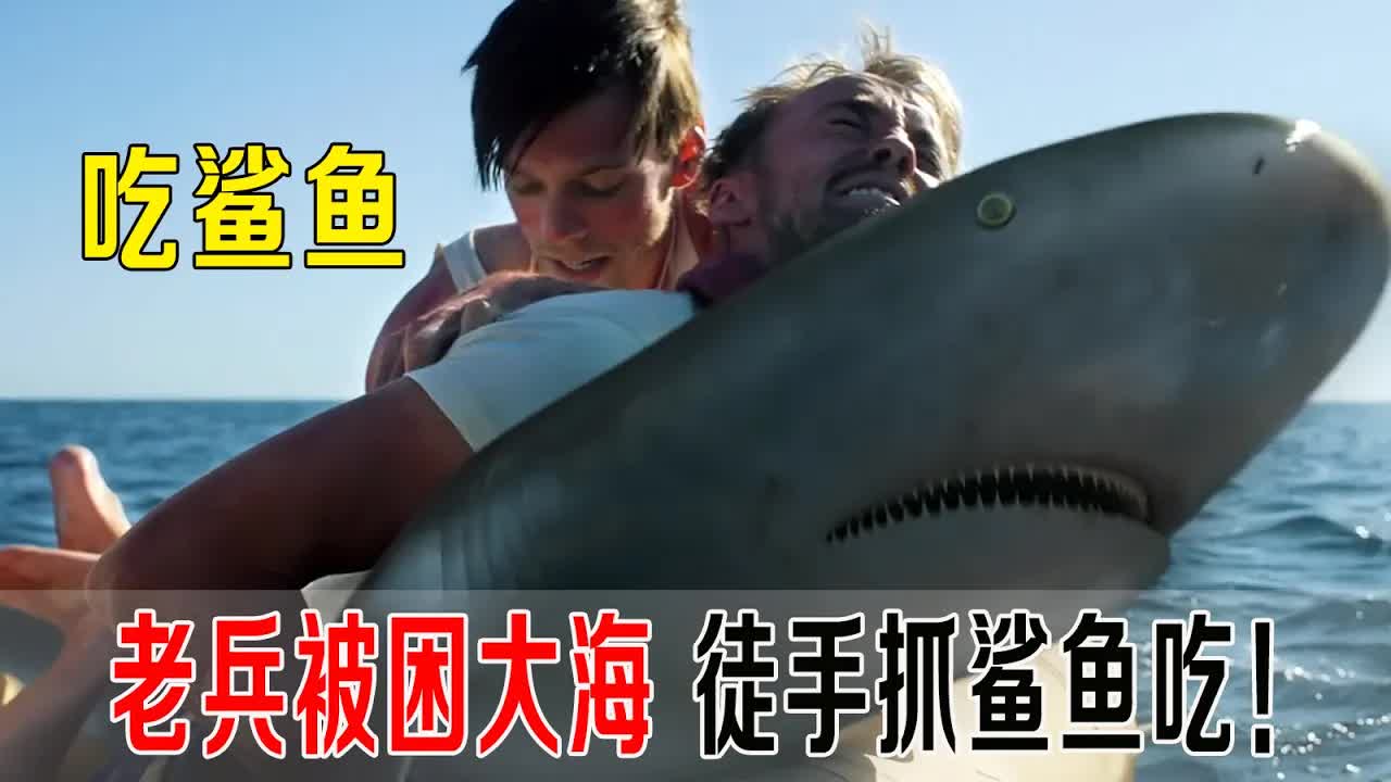 3名老兵被困大海，徒手抓鲨鱼吃，真香，源自真实事件！